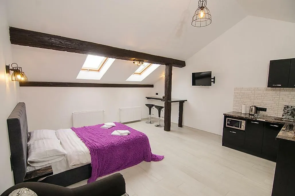 Central Studio Apartments 