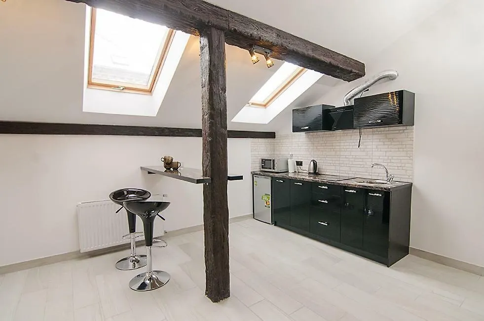 Central Studio Apartments 