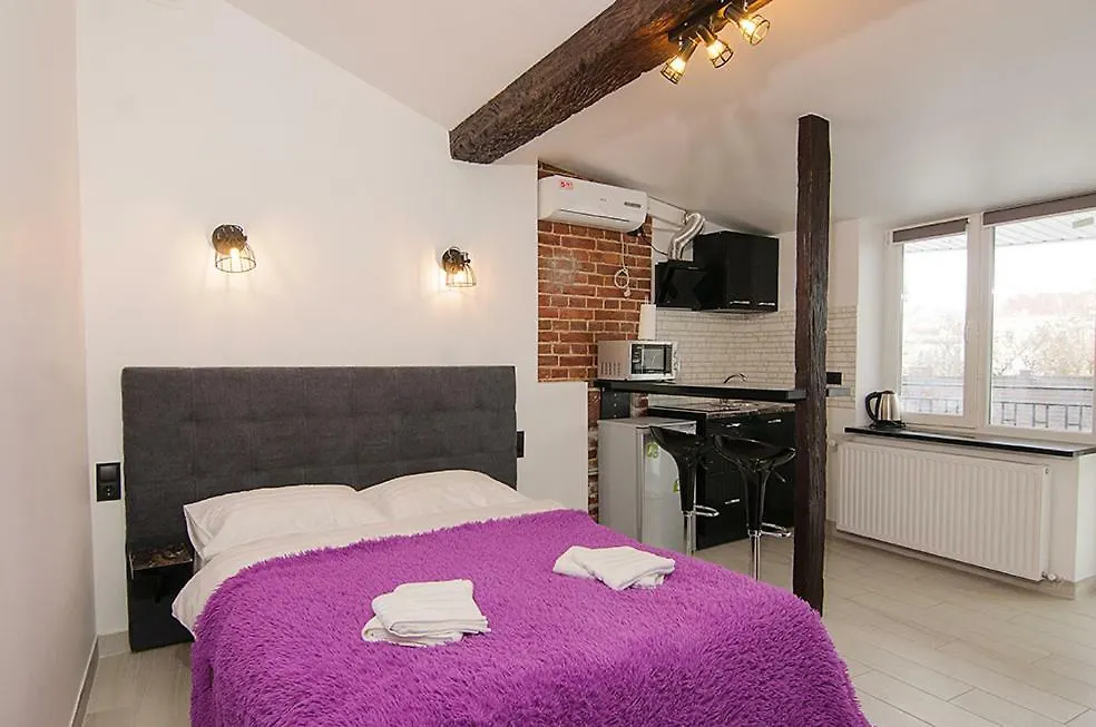 Central Studio Apartments 